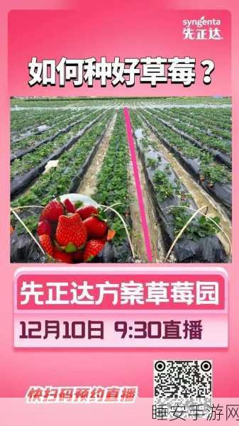 草莓视频在线播放:草莓视频直播" 🍓