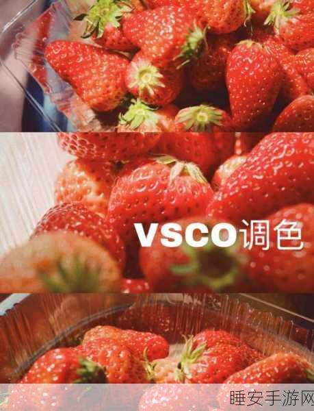 草莓色版视频:草莓色调视频" 🍓