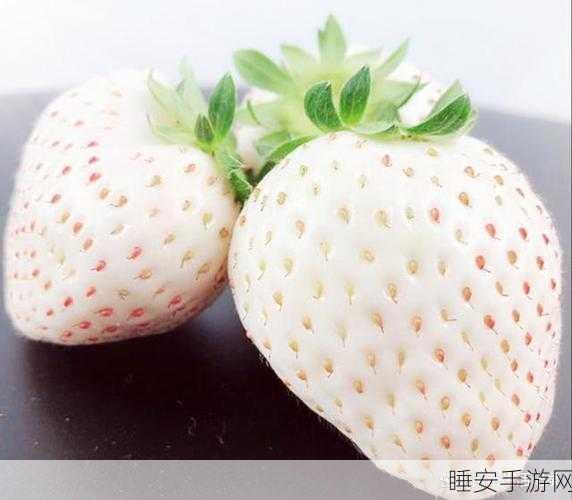 草莓色版视频:草莓色调视频" 🍓