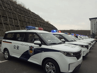 缉毒警察睾丸里被注入的高能素药剂:缉毒警察体内注射的高能药剂" 🚔