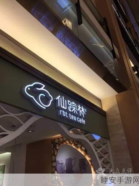 仙踪林幼儿company Limited:“仙踪林儿童有限公司” 🌟