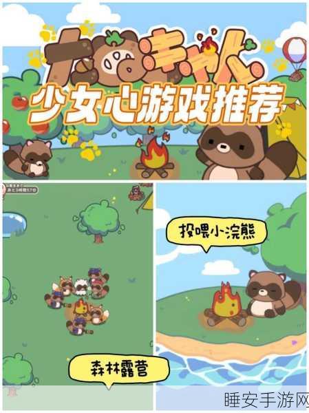 成双成对休闲小游戏火爆来袭,挑战你的默契与智慧!