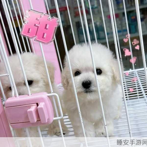 幼宠学院,萌宠策略养成新纪元,打造专属梦幻乐园!