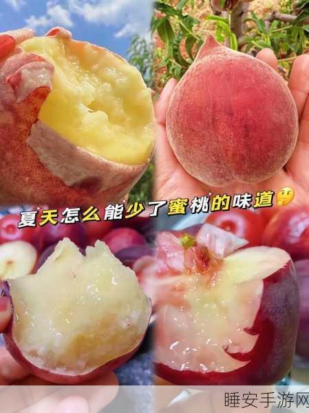 17c蜜桃爆料黑料视频:17c蜜桃隐秘内幕曝光视频🍑