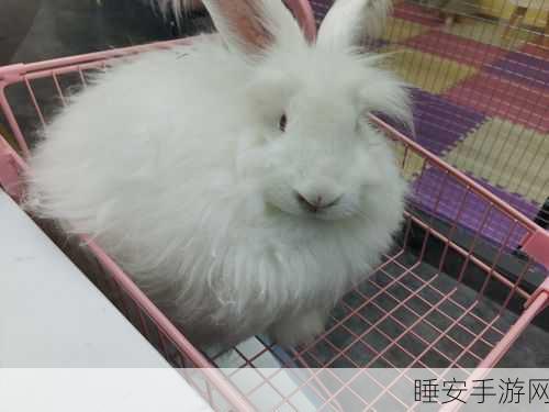 911吃瓜网困困兔:911资讯网蜜兔乐园"🐰