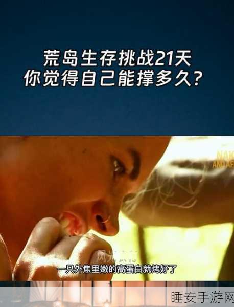 孤岛冒险家,荒岛生存挑战,你准备好了吗?
