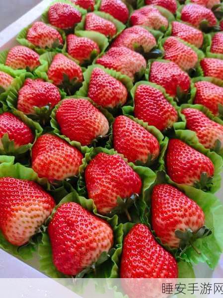 草莓福利视频:草莓视频分享" 🍓