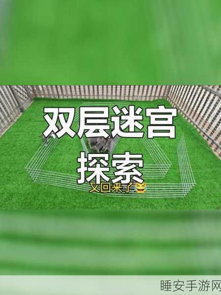 迷宫探险新纪元,球球闯迷宫正版下载,挑战你的极限反应!