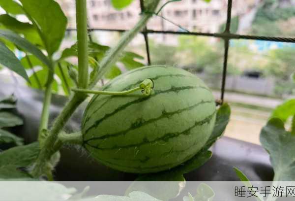 17ccgcg吃瓜网：17ccgcg瓜友交流平台＂ 🍉