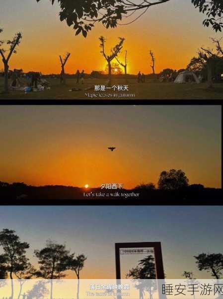 37大但人文艺术a:大图景下的37个人文艺术" 🎨