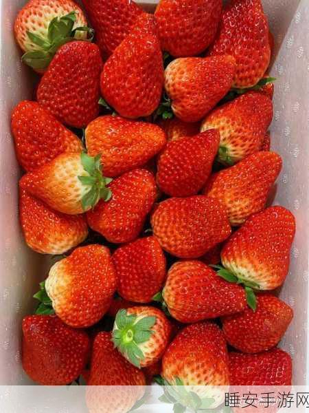 色草莓视频:鲜艳草莓影像" 🍓