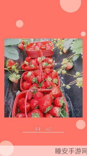 色草莓视频:鲜艳草莓影像" 🍓