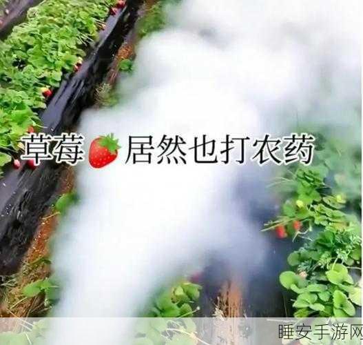草莓视频的视频:草莓视频的影片" 🍓