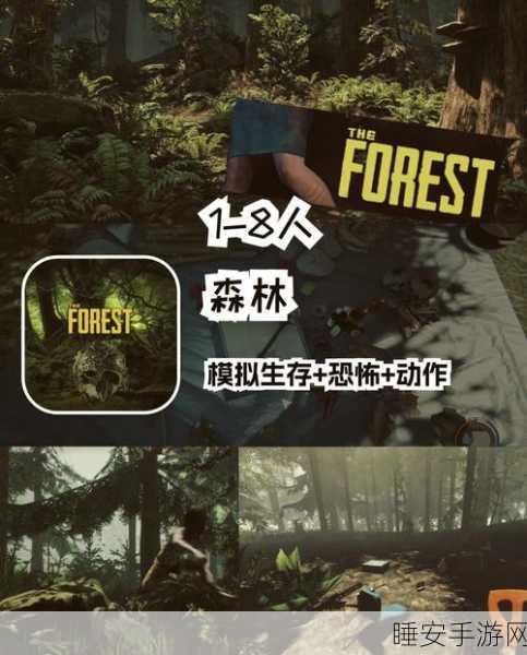 双人海岛生存大挑战,冒险闯关,绝境求生之旅!