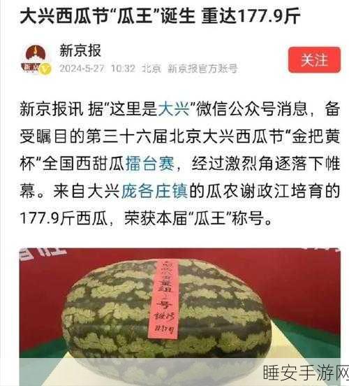黑料51吃瓜不打烊爆料:黑料51全天候吃瓜热曝" 🍉