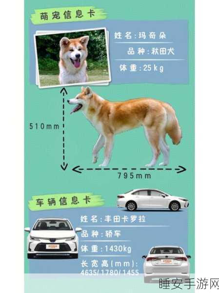 动物列车,萌宠养成新体验,打造专属梦幻列车之旅!