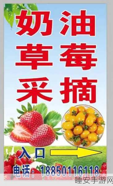 草莓福利站导航:“草莓优惠站指南”🍓