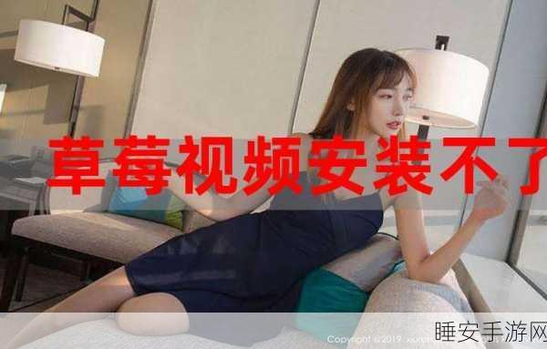 草莓福利站导航:“草莓优惠站指南”🍓