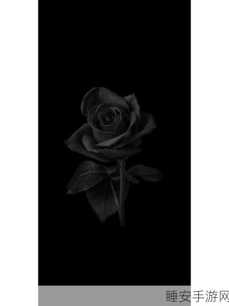 暗黑爆料扒哥黑料下载网站:黑色内幕曝光分享平台"🖤