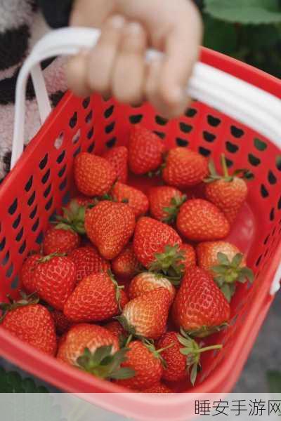 CMSP01草莓视频:草莓视频CMSP01版本" 🍓