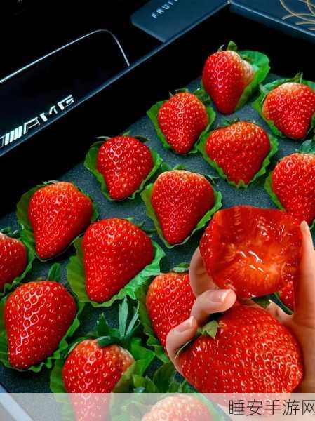 CMSP01草莓视频:草莓视频CMSP01版本" 🍓