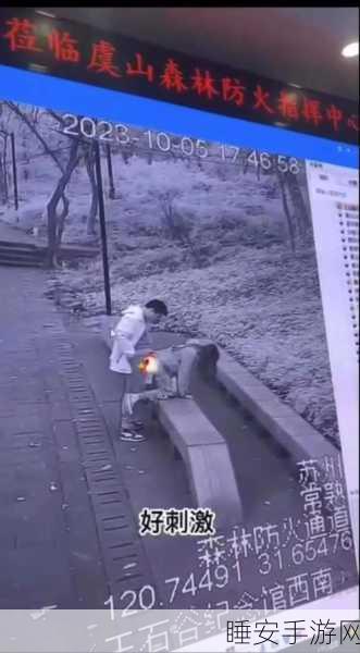 成品视频大全观视频的技巧有哪些:观看成品视频的技巧有哪些?" 🎥