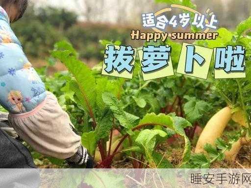 二人世界拔萝卜广告:双人合作挖萝卜广告"🥕