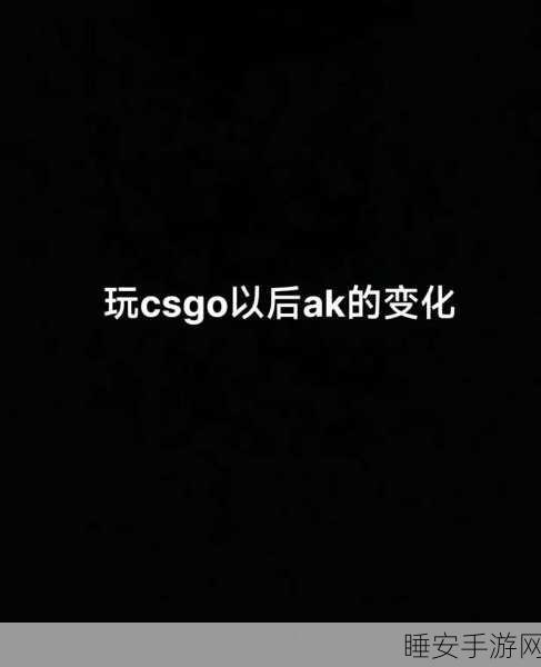 csgo暴躁的残疾女子:CSGO中的强势女性选手"🎮
