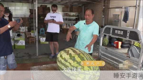 51热门大瓜今日大瓜最新最快：今日速递：51个热门大瓜更新！🍉