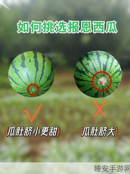 51热门大瓜今日大瓜最新最快：今日速递：51个热门大瓜更新！🍉