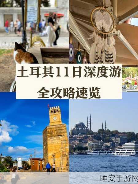 土耳其风情驾驶挑战!货车模拟器土耳其版下载指南及真实驾驶体验揭秘