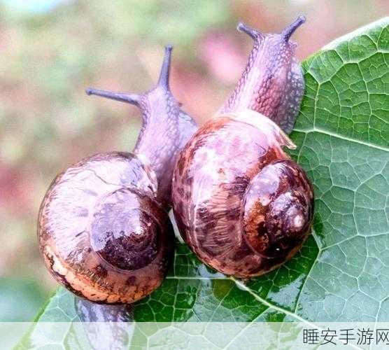 蜗牛影视在线观看免费完整版:蜗牛影视免费观看完整版本" 🎬