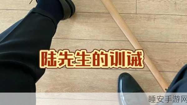 小圈实践狠揍图片：小圈实践强势解析图片＂ 🔍