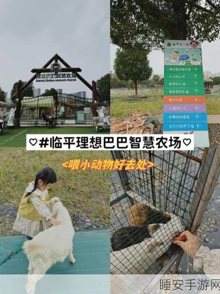 萌宠农场,放置鸡鸭鹅,打造你的趣味经营帝国