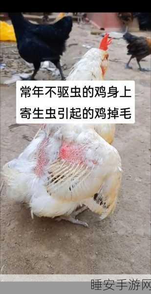萌宠农场,放置鸡鸭鹅,打造你的趣味经营帝国