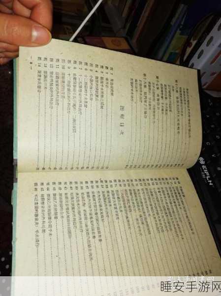 17.c.:17.章" 📚