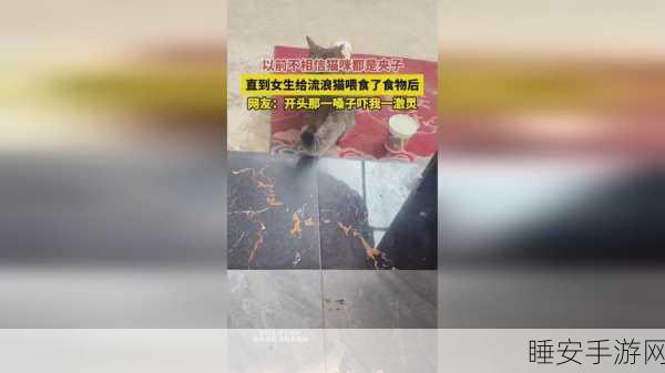 国产无人区码一码二码三mba:国产无人区一码二码三MBA探秘" 📚