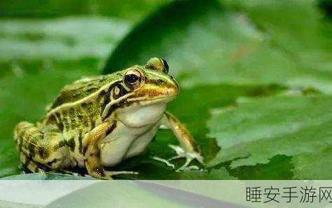 manwa2漫蛙防走失:漫蛙防走失二在行动" 🐸