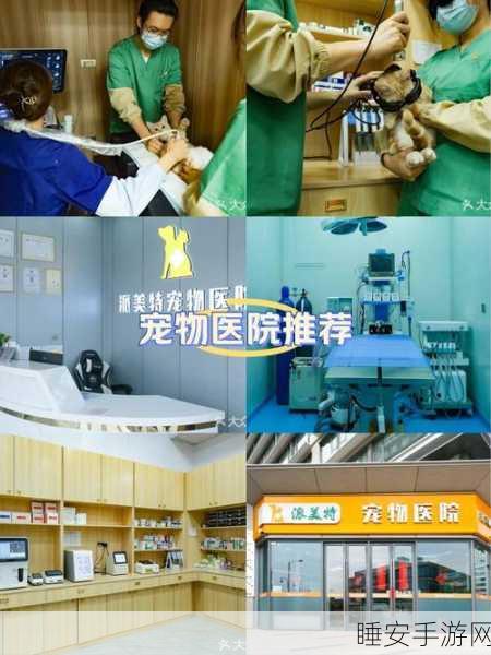 小猫天才医生手游下载,沉浸式治愈体验,打造你的温馨宠物医院!