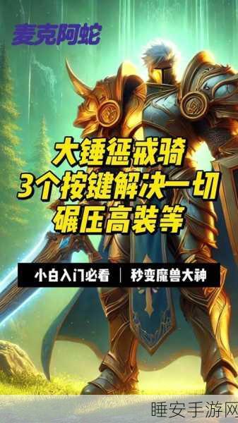惩戒骑一键宏:惩戒骑便捷宏设定" ⚔️