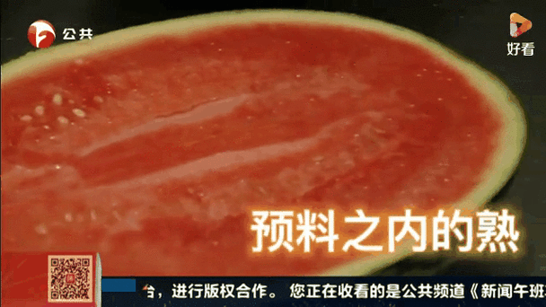 17c一起草黑料吃瓜:17c共同探讨负面消息" 🍉
