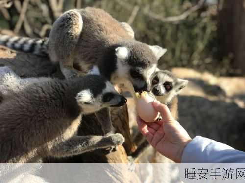 动物王者新地图震撼上线,自由冒险,策略竞技再升级!