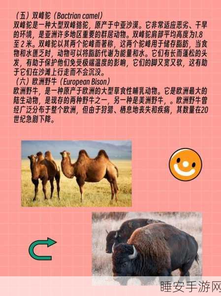 长脖我最美手机版震撼上线!休闲益智新挑战,比拼长颈鹿生存智慧
