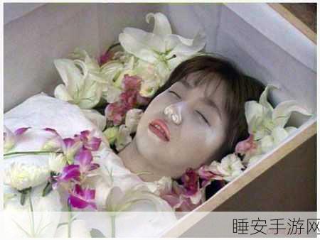 消尸身后事下载火爆!探索另类解谜世界的奇妙之旅