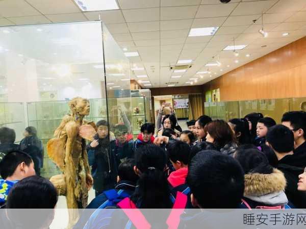 探索生命奥秘!人体工厂汉化版精致模拟人体运作休闲手游震撼上线
