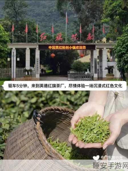 打造梦幻巧克力王国!巧克力工厂大亨模拟经营游戏火爆下载