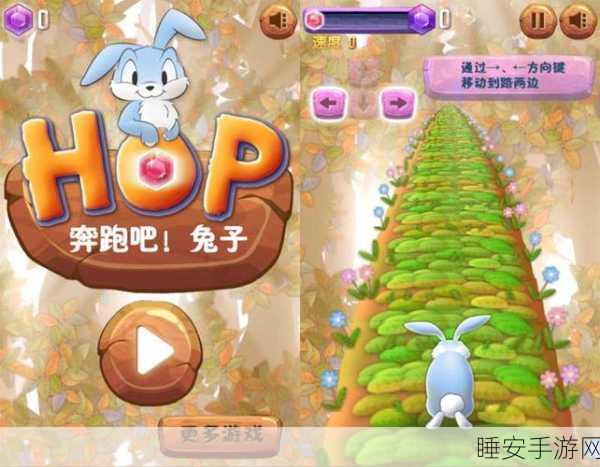 卡通兔大冒险无限金币版来袭!畅享趣味跑酷新体验