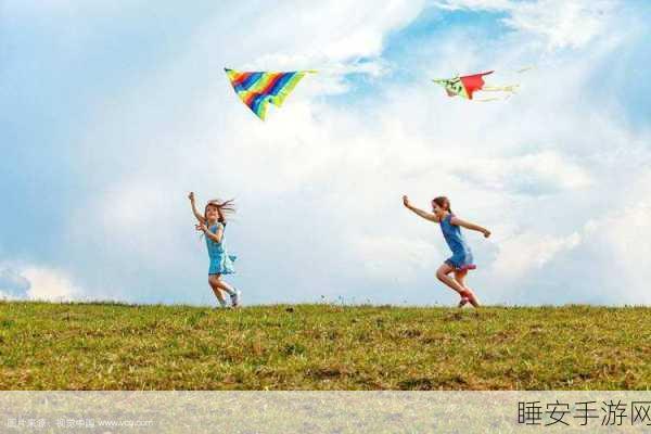 精致画面,放飞梦想,风筝飞行3D休闲手游下载指南