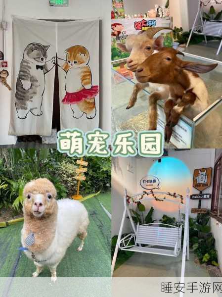 超级宠物变变变火爆上线!模拟经营养成新体验,打造专属萌宠乐园