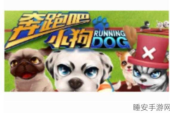 奔跑的汪星人来袭,3D低模像素风,狗狗合成奔跑的休闲经营新体验!